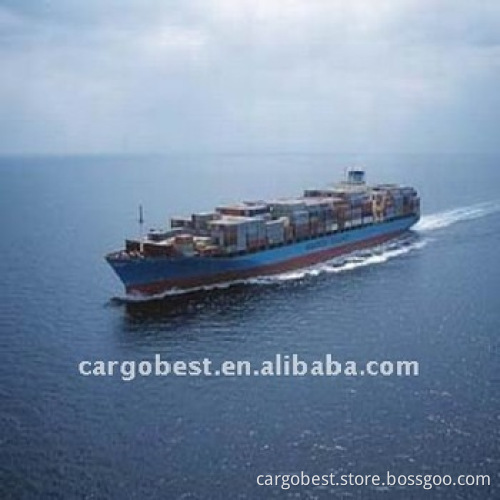 container freight forwarder to New Ply Mouth New Zealand